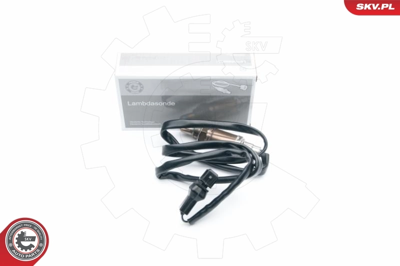 Oxygen Sensor